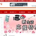 【SHOPIN】という怪しい偽通販サイトを徹底解説!