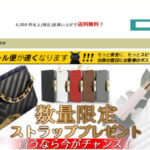 【the juicy company】という怪しい偽通販サイトを徹底解説!