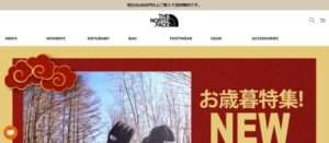 【ノースフェイス】の怪しい偽通販サイトを徹底解説!
