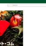 【ルージュ】の怪しい偽通販サイトを徹底解説!